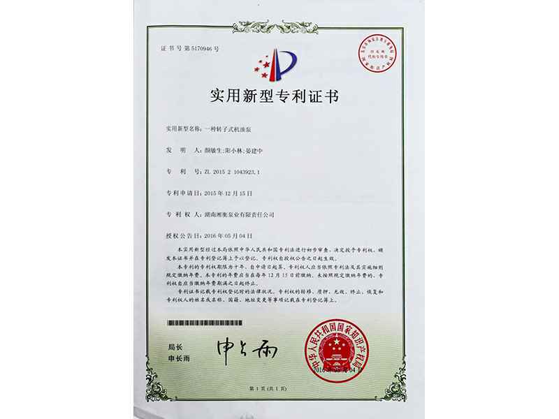 湖南重庆穆伟惠民医疗服务有限公司专利